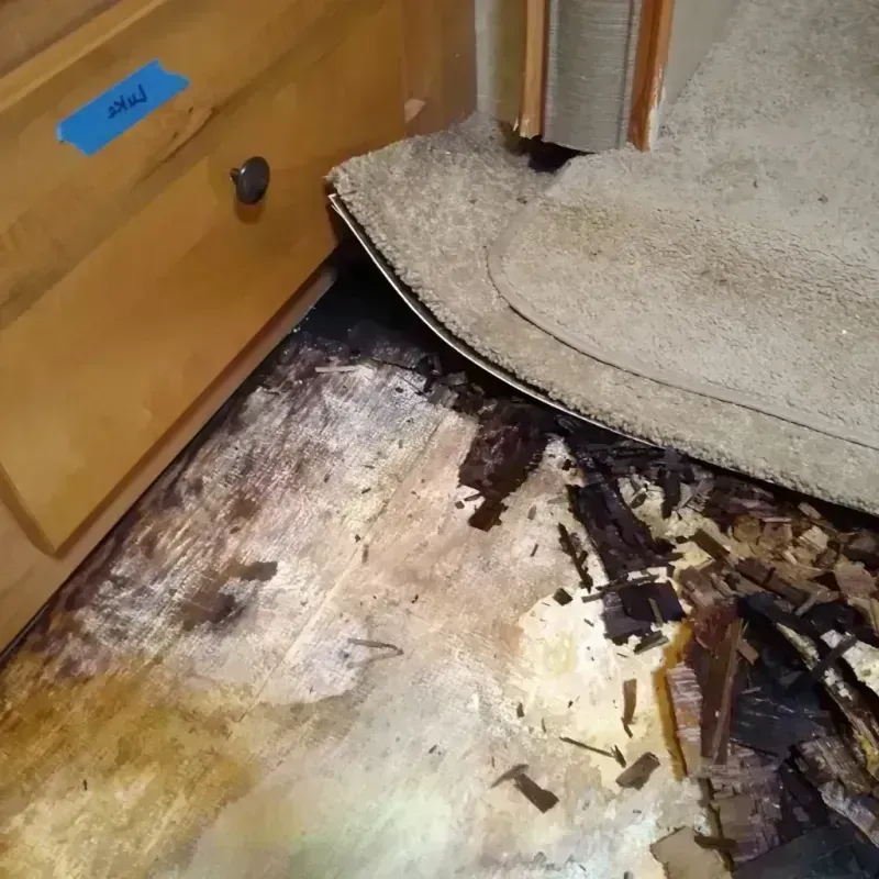 Wood Floor Water Damage in Leeds, AL